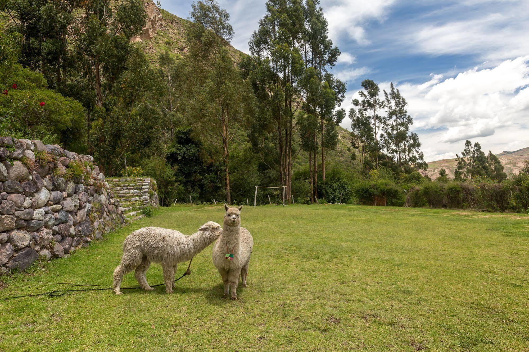 Hotel Hacienda Del Valle Urubamba Bagian luar foto