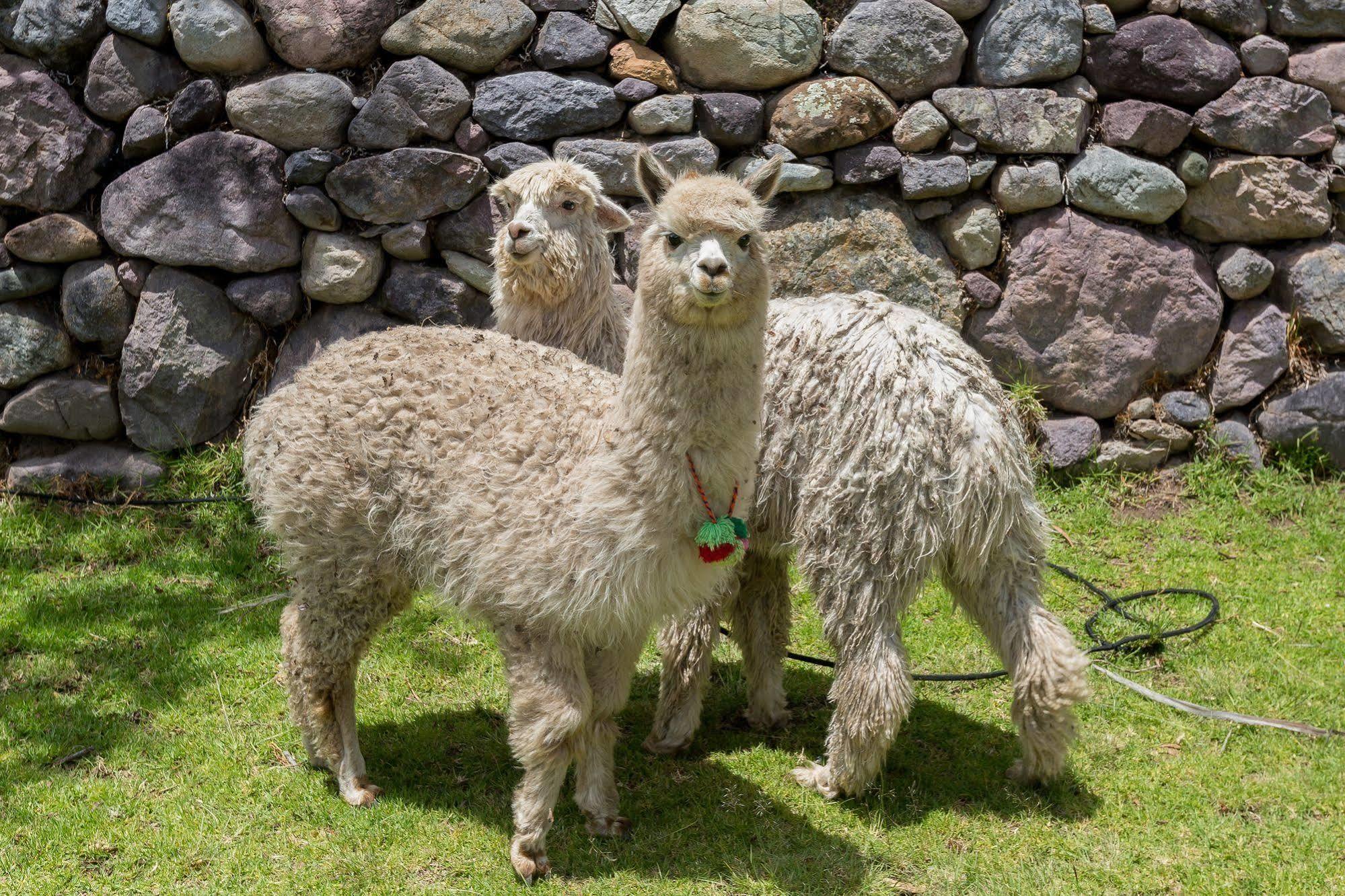Hotel Hacienda Del Valle Urubamba Bagian luar foto